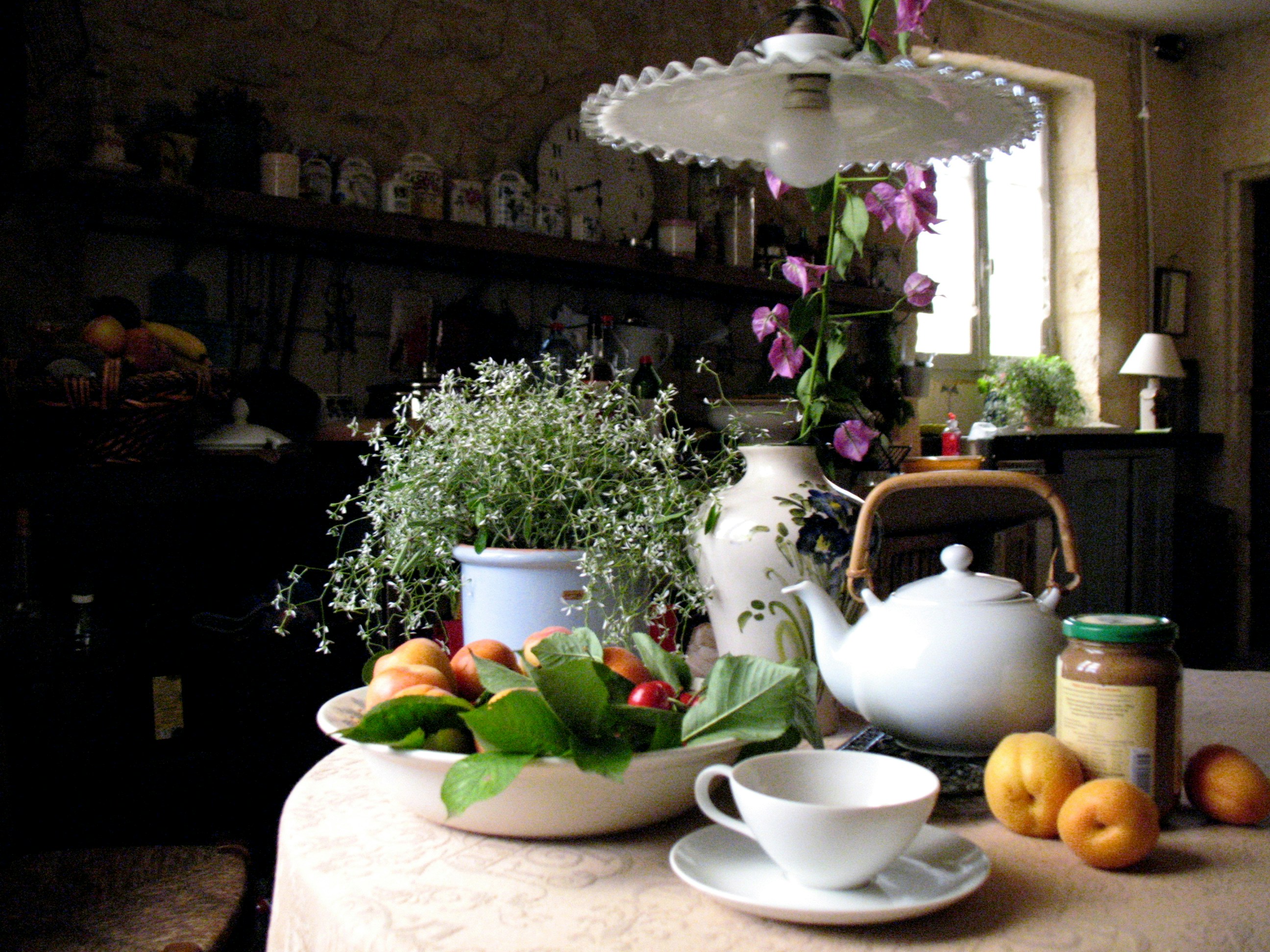 Free Unsplash photo from anne-marie robert