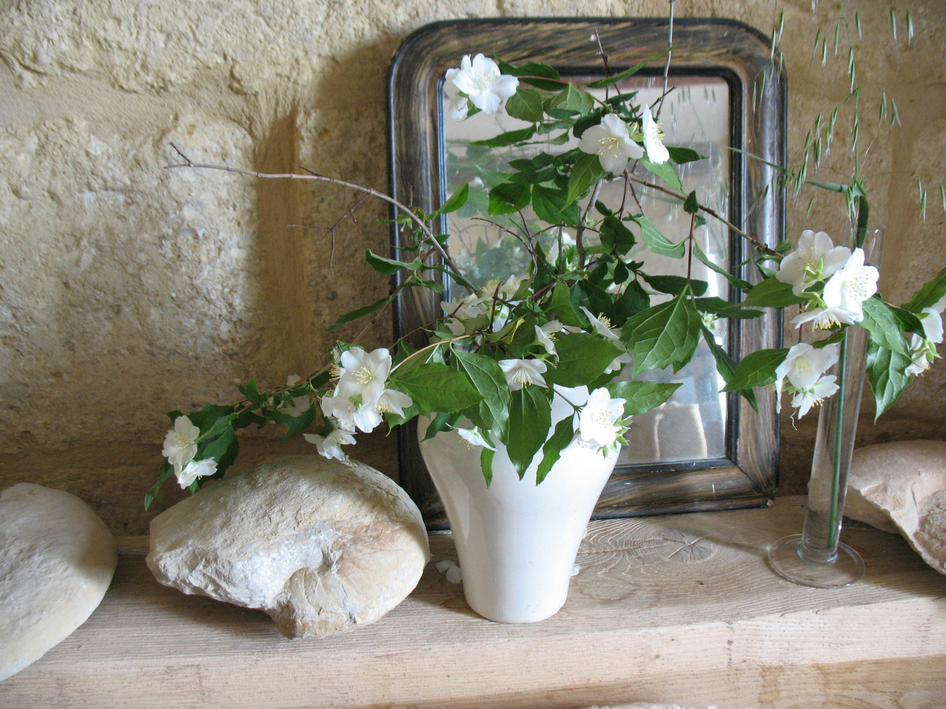 Free Unsplash photo from anne-marie robert