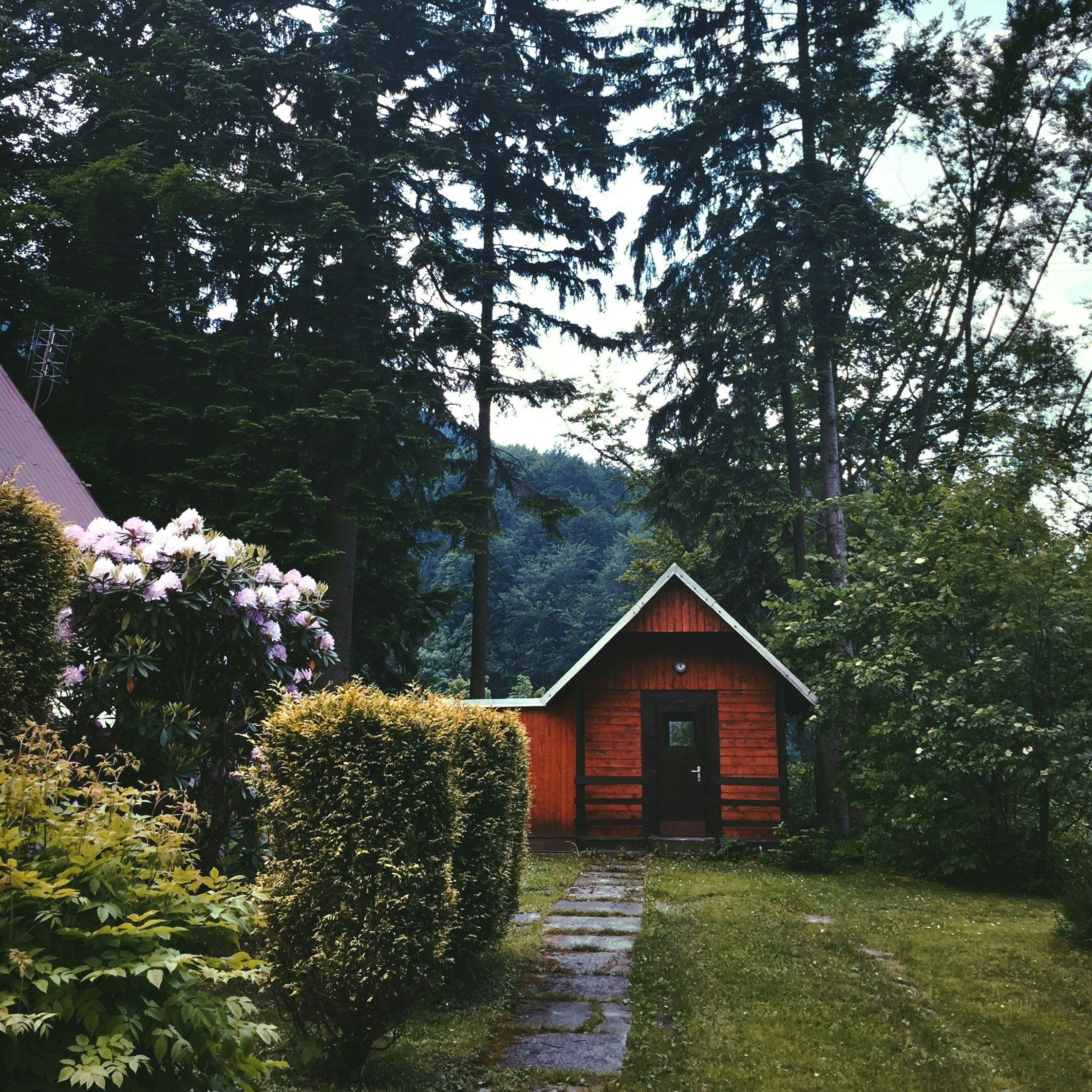 Free Unsplash photo from Madeline Tallman