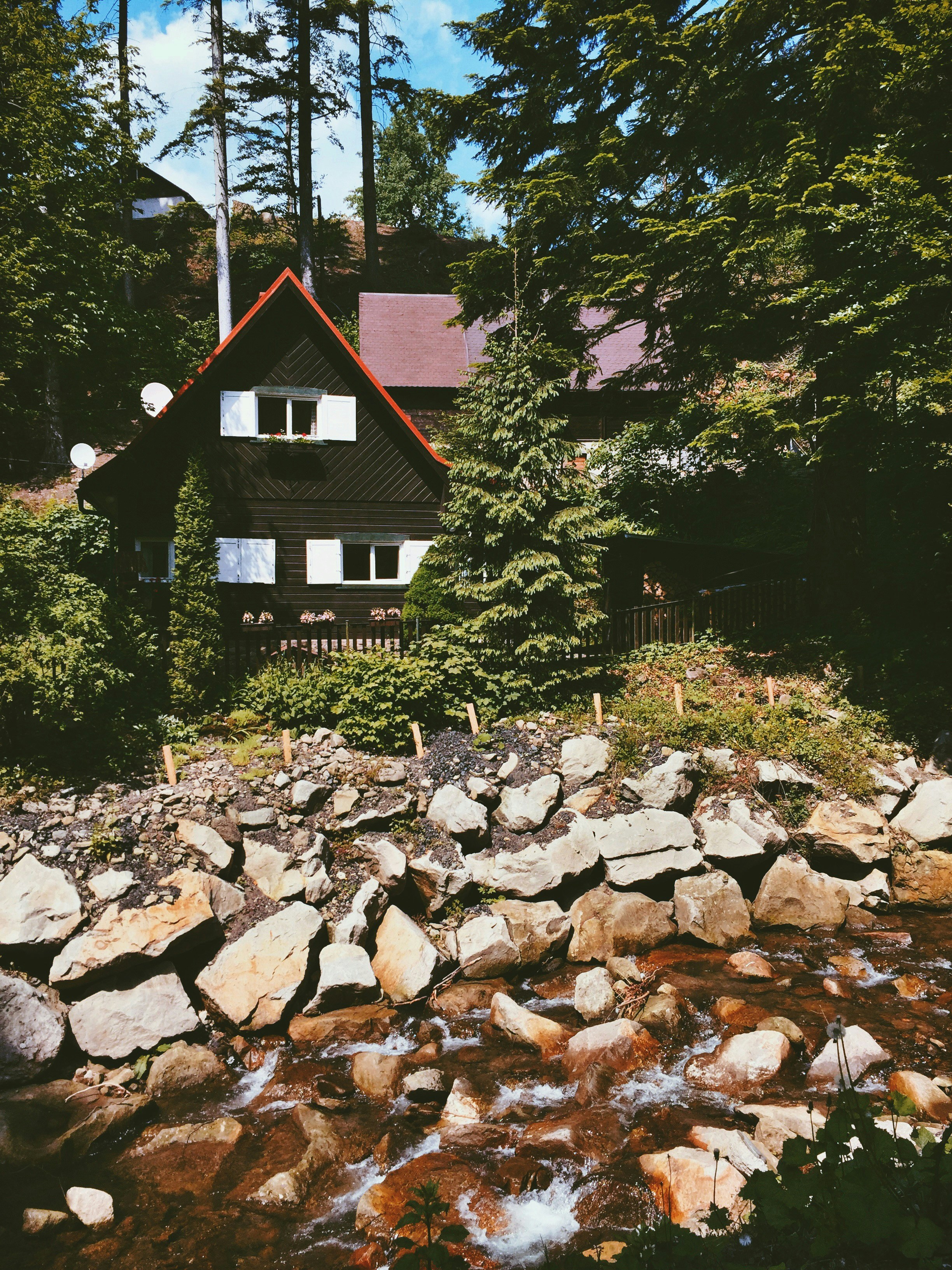 Free Unsplash photo from Madeline Tallman