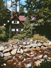 Exterior view of a cozy wooden house surrounded by trees.