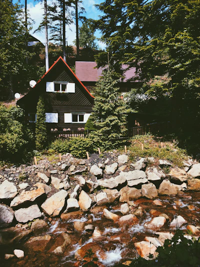 A cozy wooden homestay perched beside a tranquil Himachal river under lush pine trees.