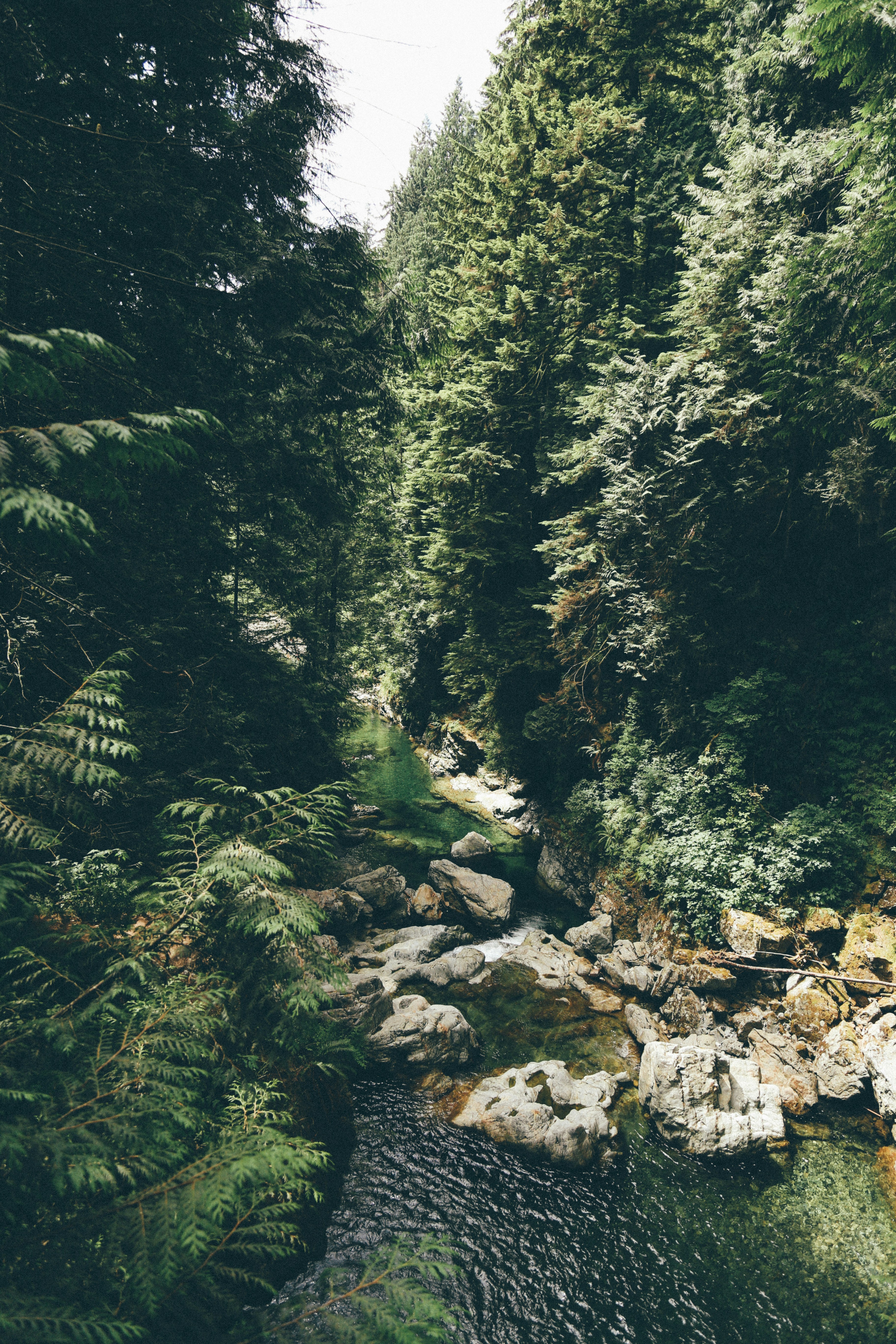 Free Unsplash photo from Tanner Vines