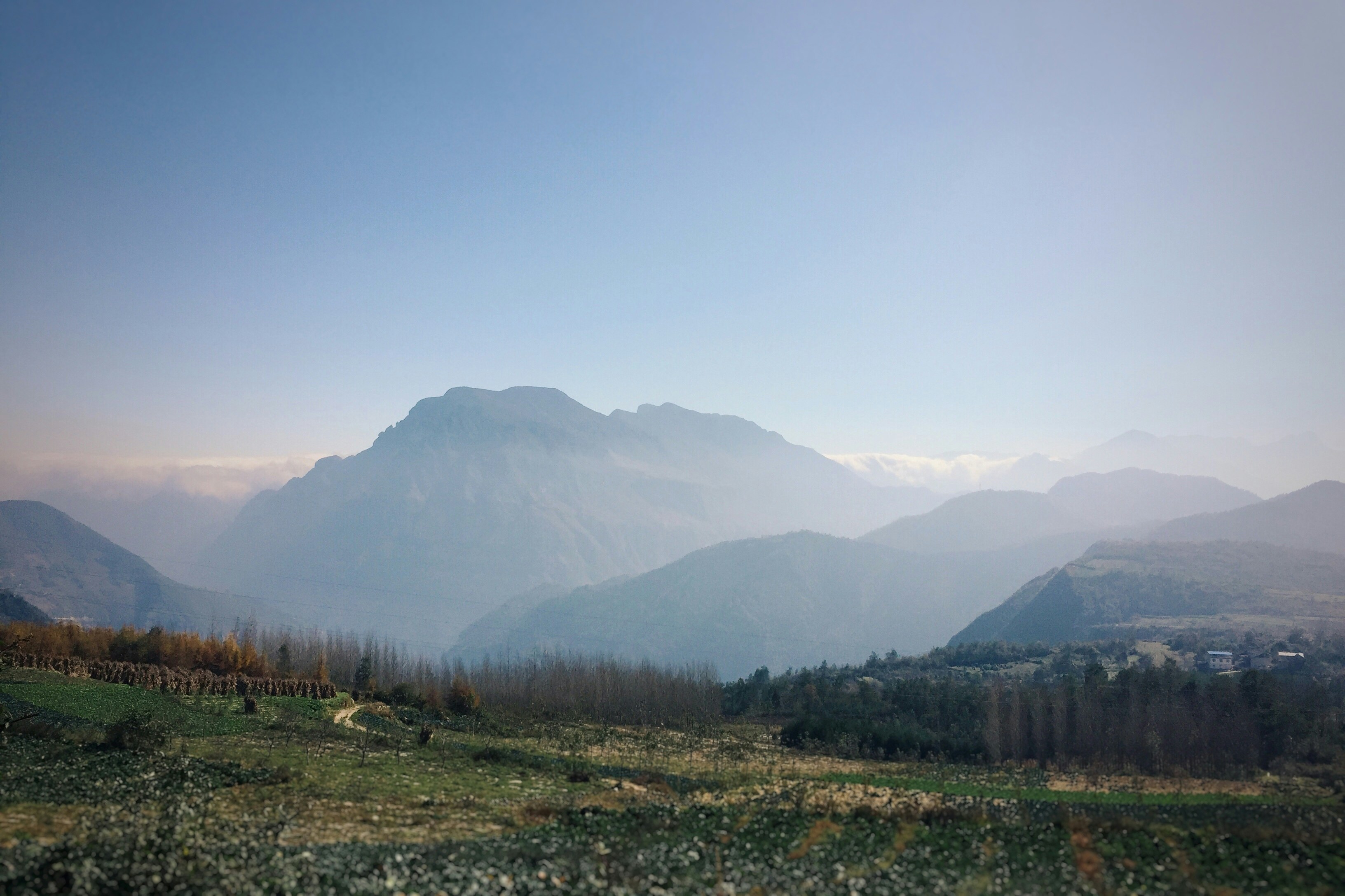 Free Unsplash photo from alex yang