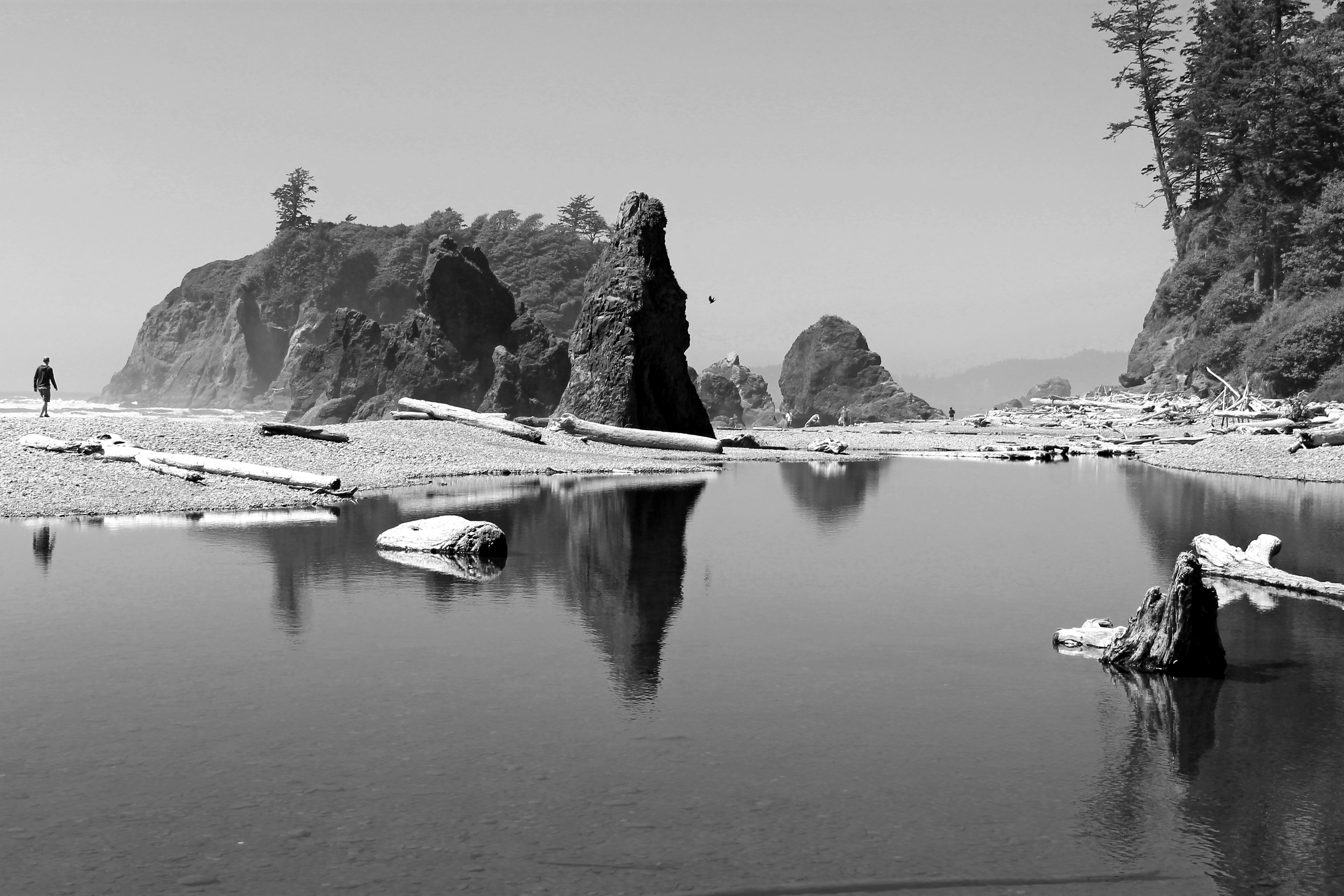 Free Unsplash photo from Tyler Wiest