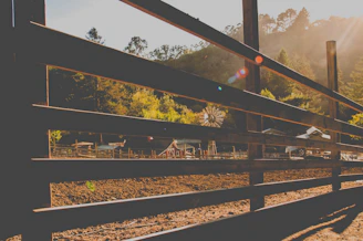 A skilled craftsman installing a custom cedar fence on a sunny farm property.
