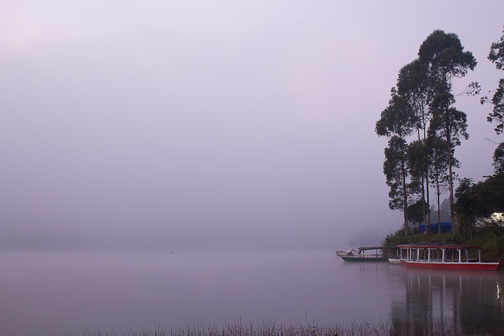 body of water covered with fog