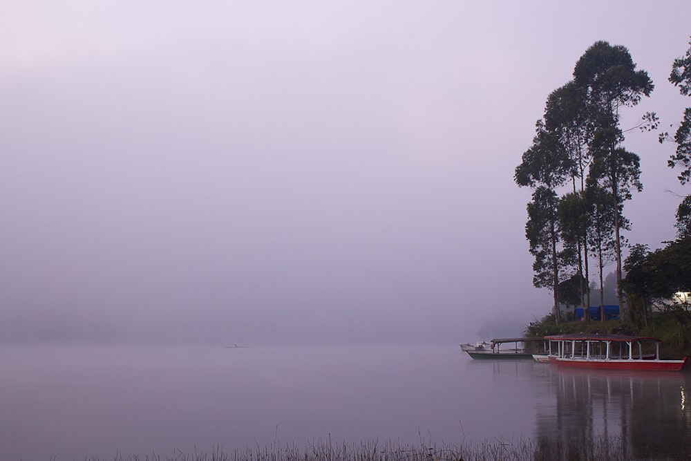 Cuerpo de agua cubierto de niebla