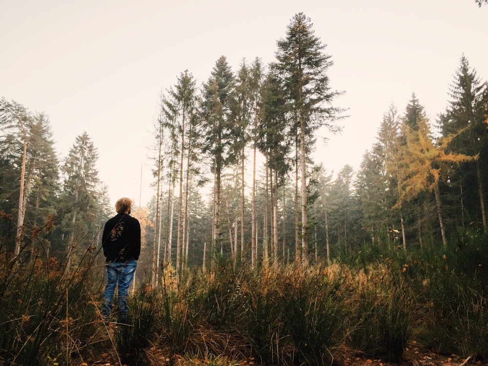 person standing on tall grass during daytime