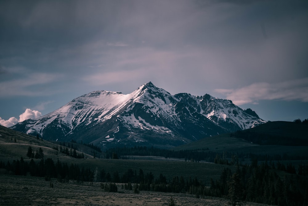 photographie de paysage de montagnes enneigées