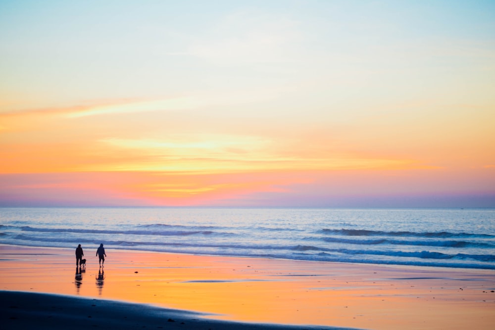 people walking near seashore during daytime