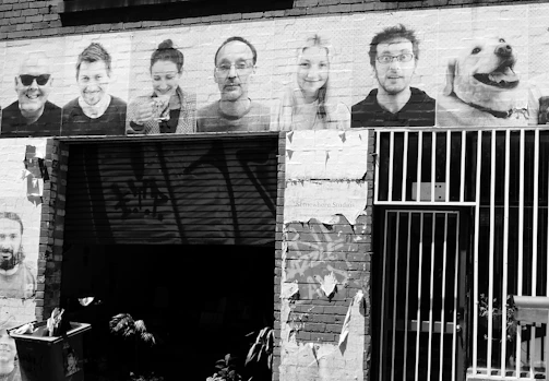 A poster campaign on a street wall raising awareness about stray dog care