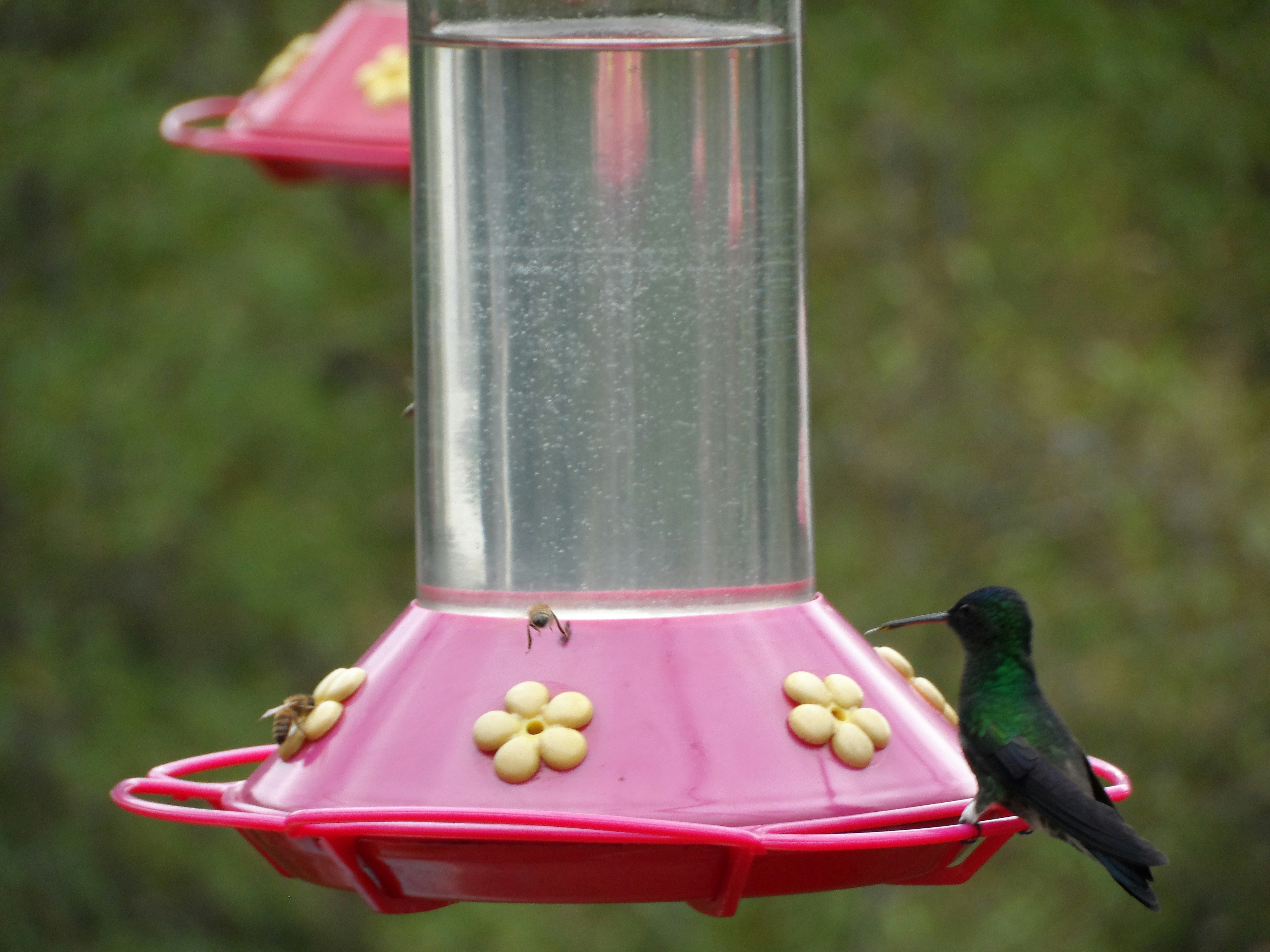 Free Unsplash photo from Oscar Santiago