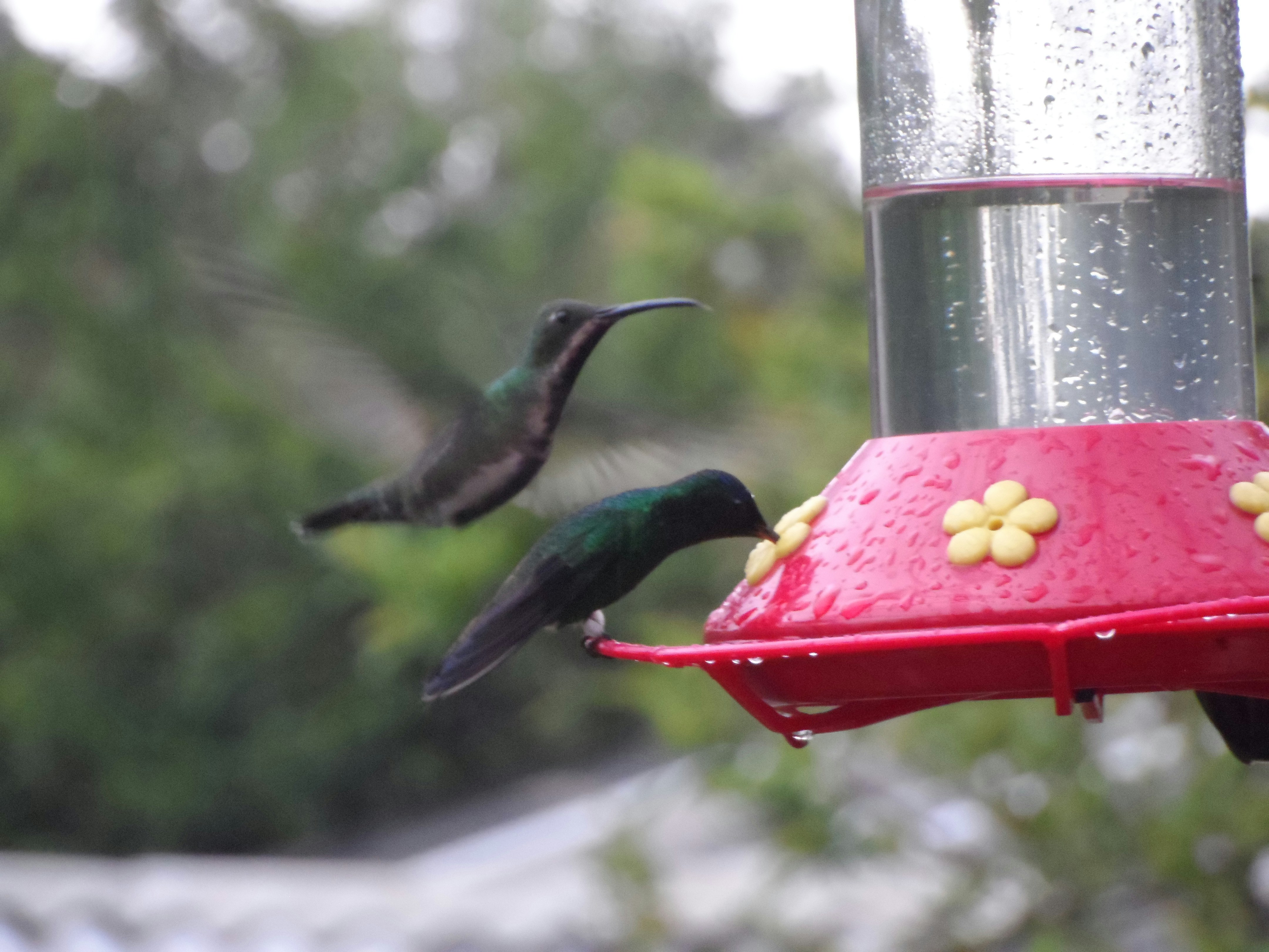 Free Unsplash photo from Oscar Santiago