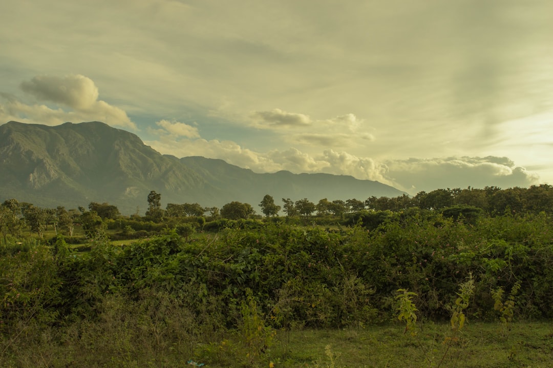 Hill photo spot Masinagudi Attappadi Reserve Forest