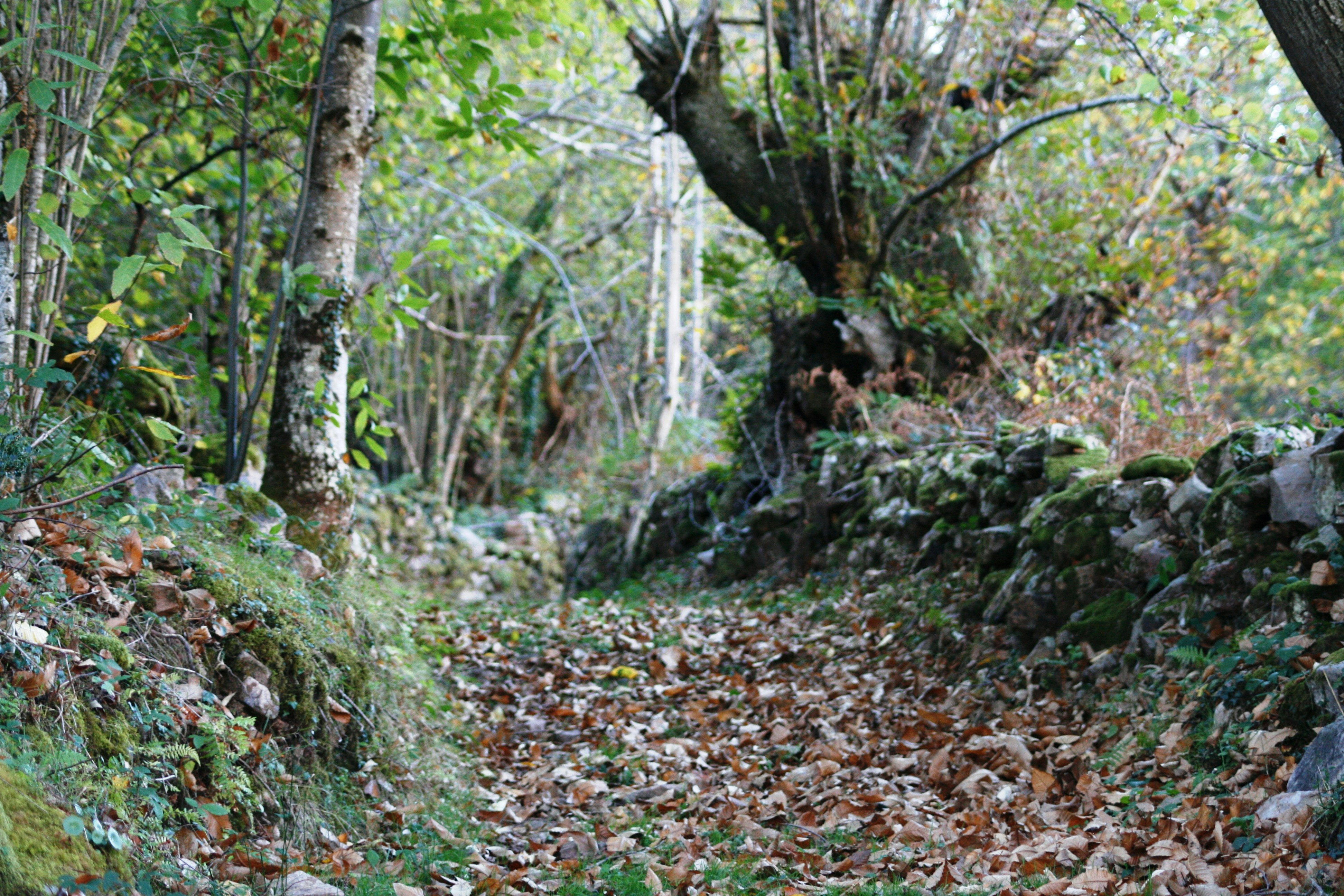 Free Unsplash photo from Ariana Martinez