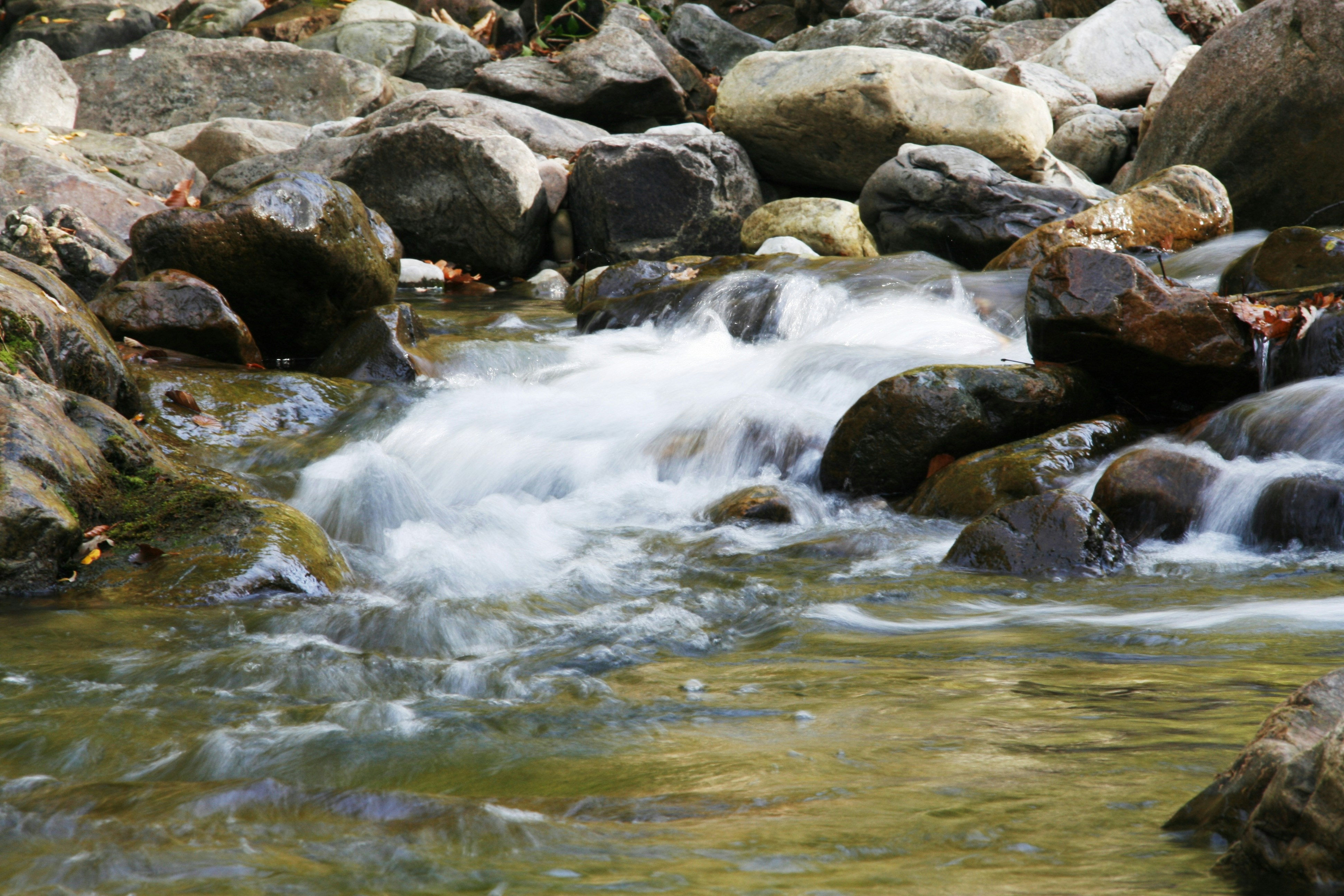 Free Unsplash photo from Ariana Martinez