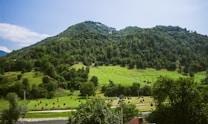 A lush, green mountainous landscape with densely forested hills and a foreground of open grassland dotted with haystacks. The sky is clear with a few clouds, and a riverbank can be seen at the bottom. A small rooftop and a utility pole are visible at the bottom edge.