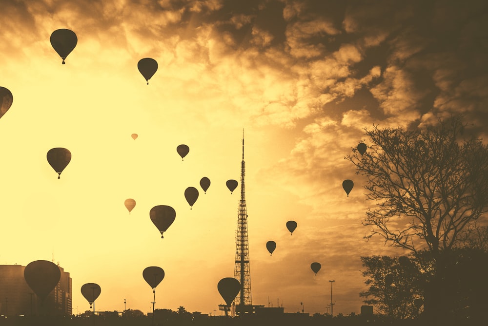silhouette hot air balloons under cloudy skies during golden hour