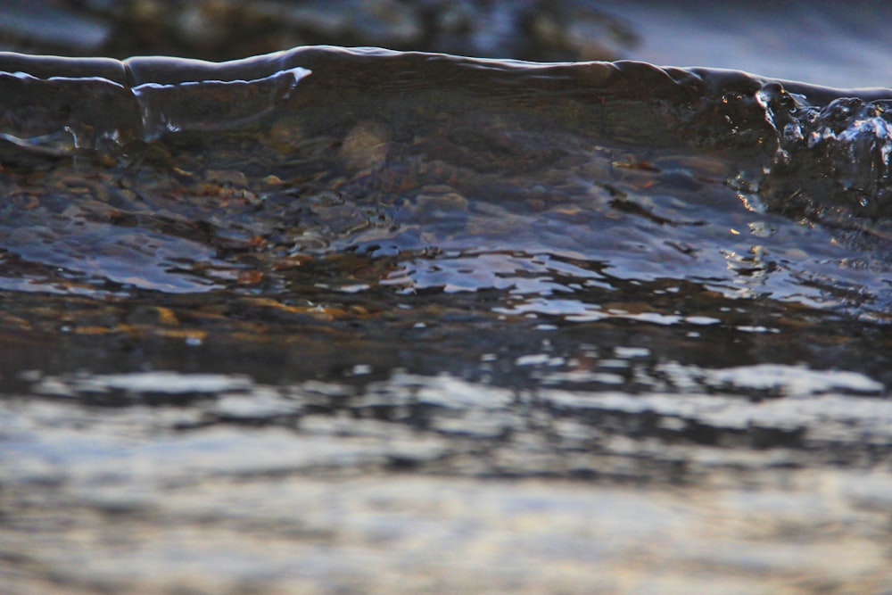 water splash on body of water