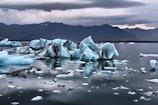 A serene landscape featuring a glacier and blue icebergs.