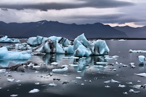 A serene landscape featuring a glacier and blue icebergs.