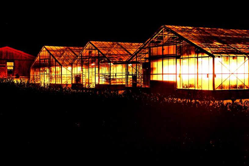 A modern feedlot illuminated by advanced green lighting technology at dusk.