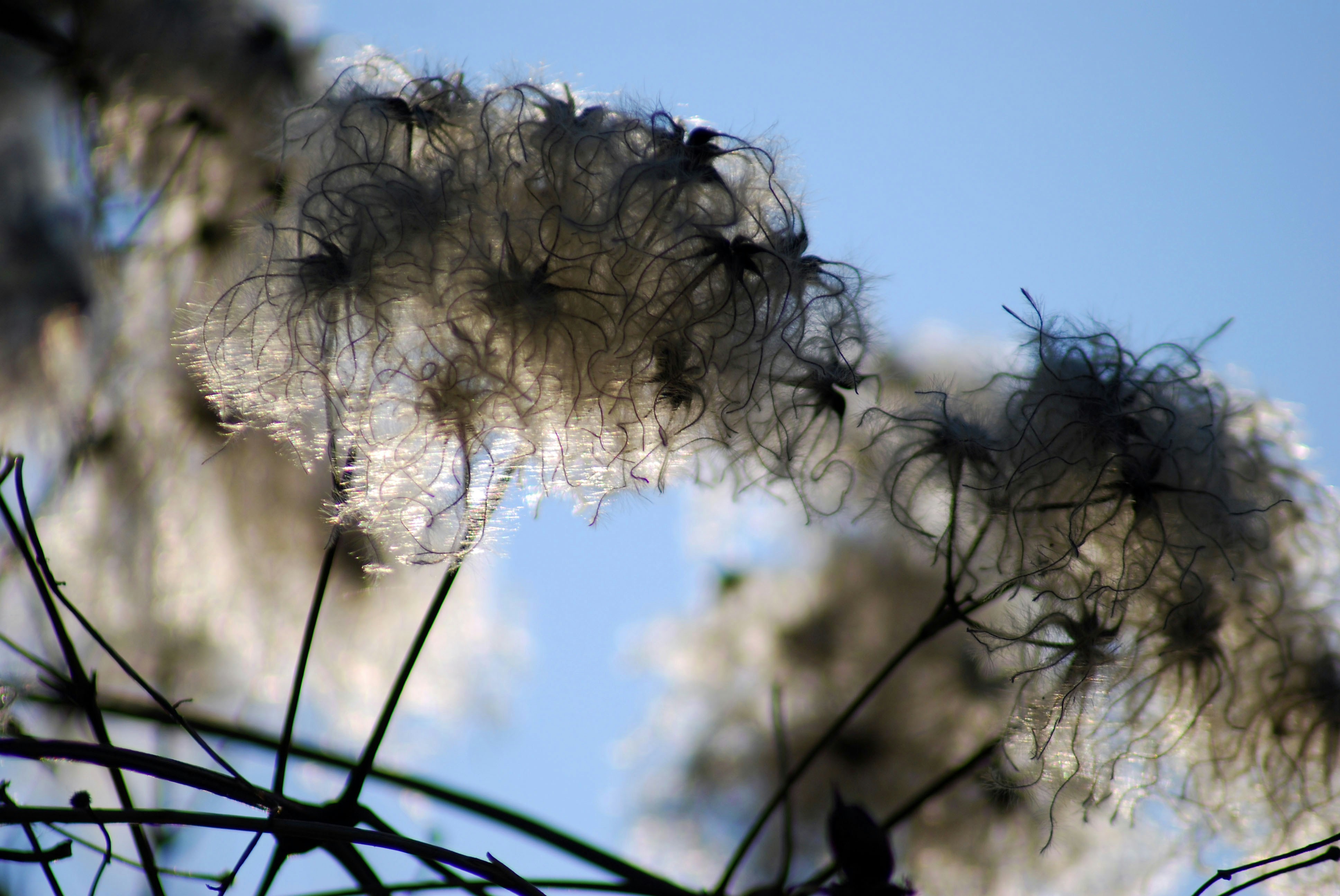 Free Unsplash photo from Natthika Theera