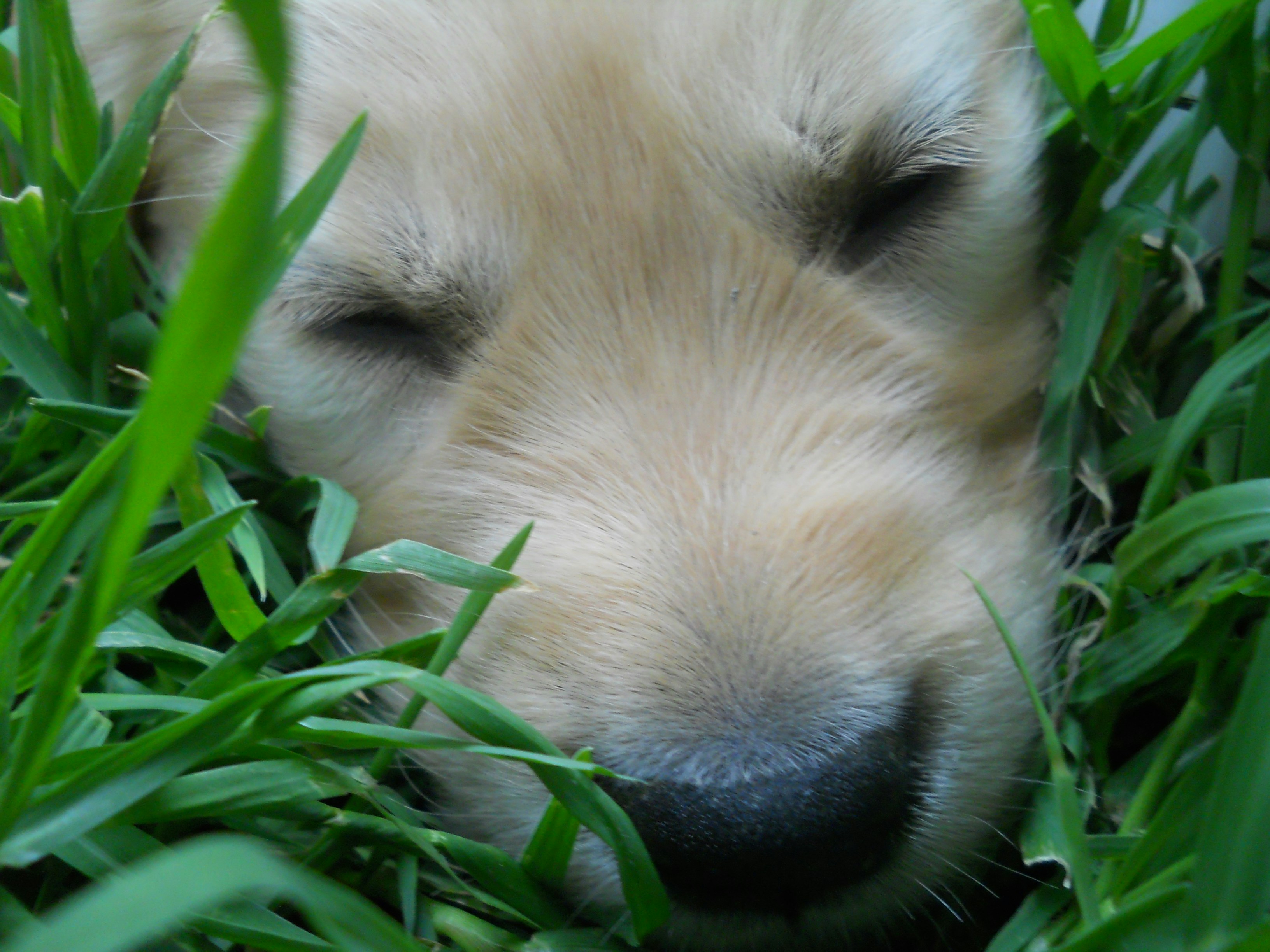 Free Unsplash photo from ozlem akay