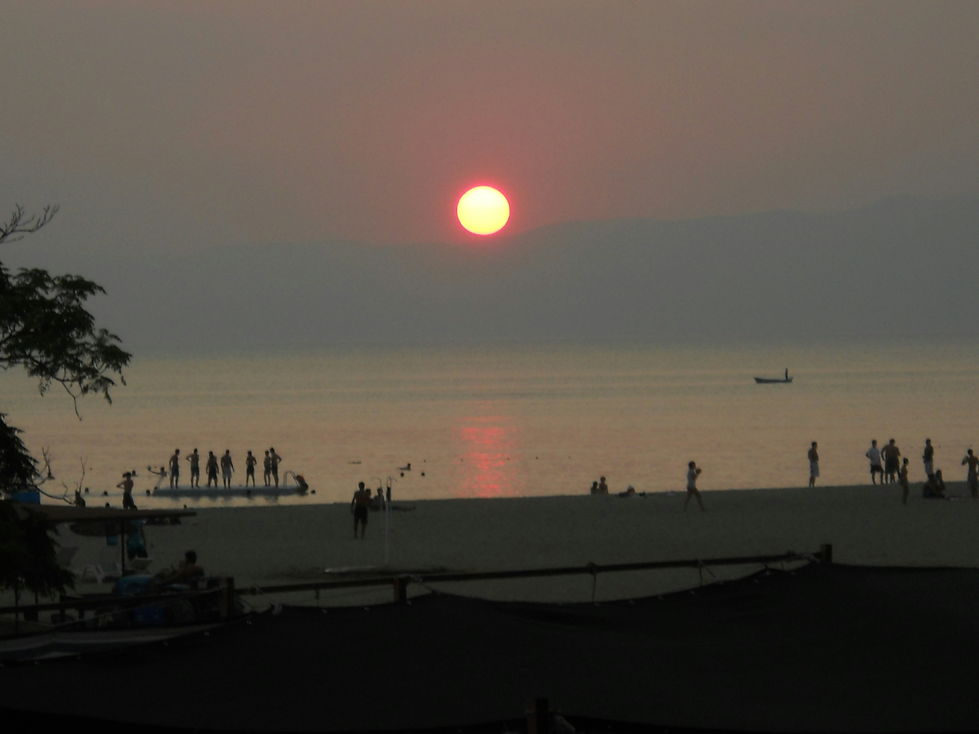 Free Unsplash photo from ozlem akay