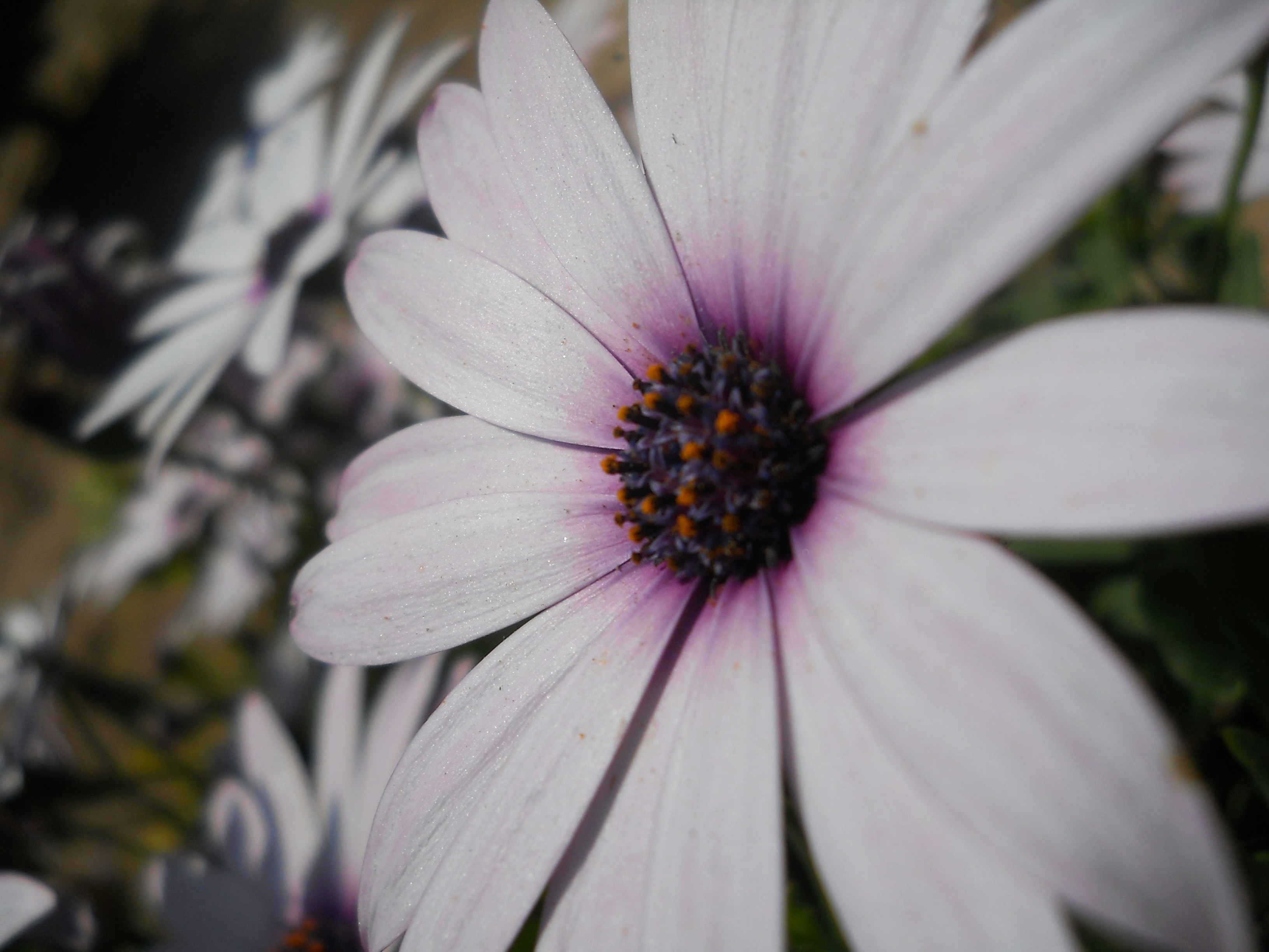 Free Unsplash photo from ozlem akay