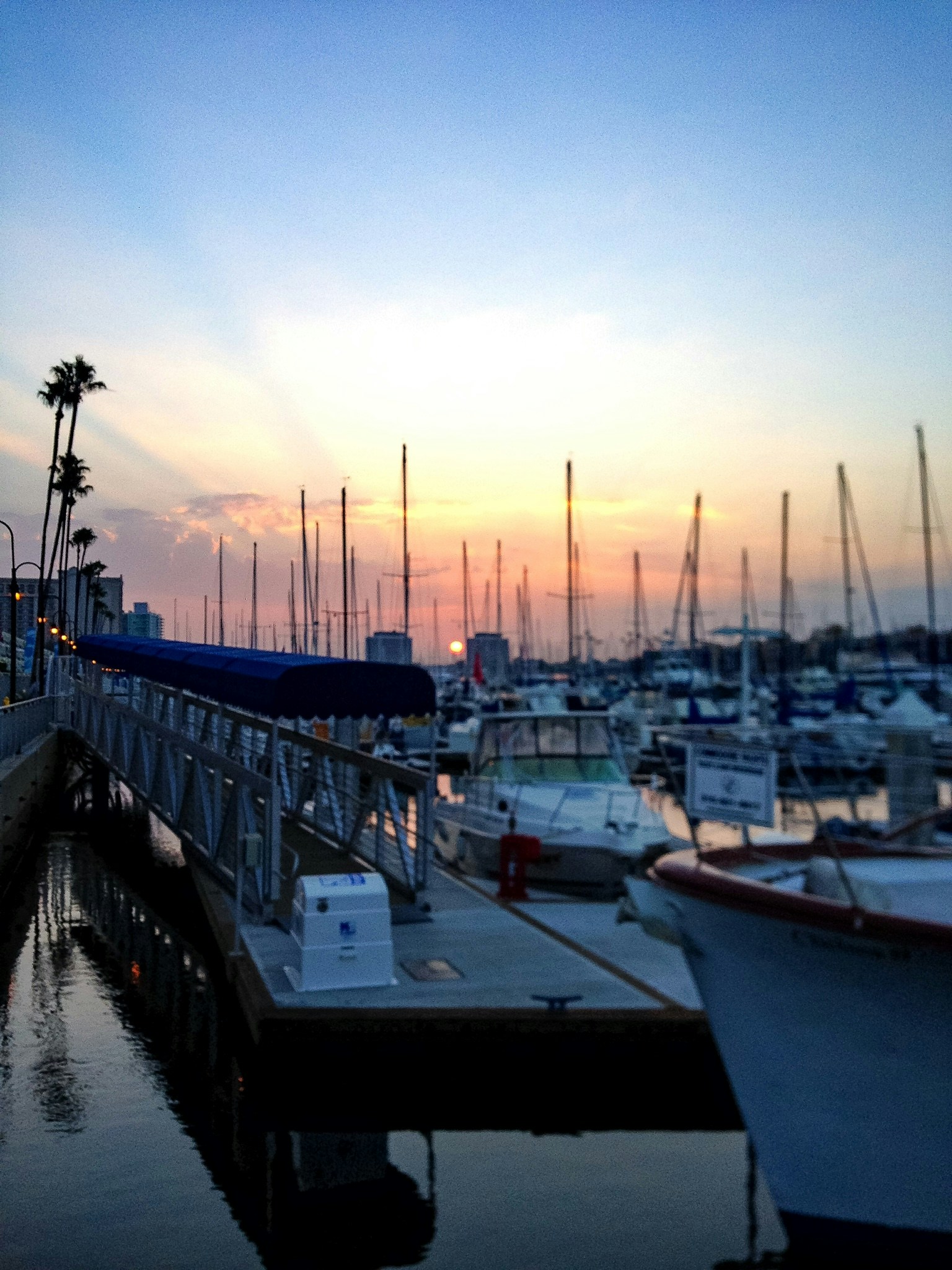 Free Unsplash photo from Sarah Hogg