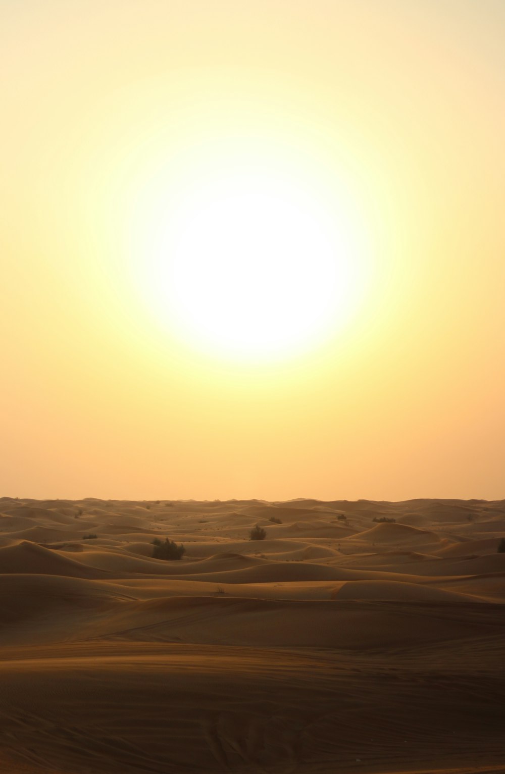 Areia bege durante o pôr do sol