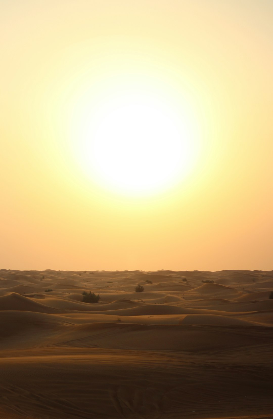 photo of Dubai Desert near Cayan Tower - Dubai - United Arab Emirates