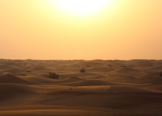 beige sand during sunset