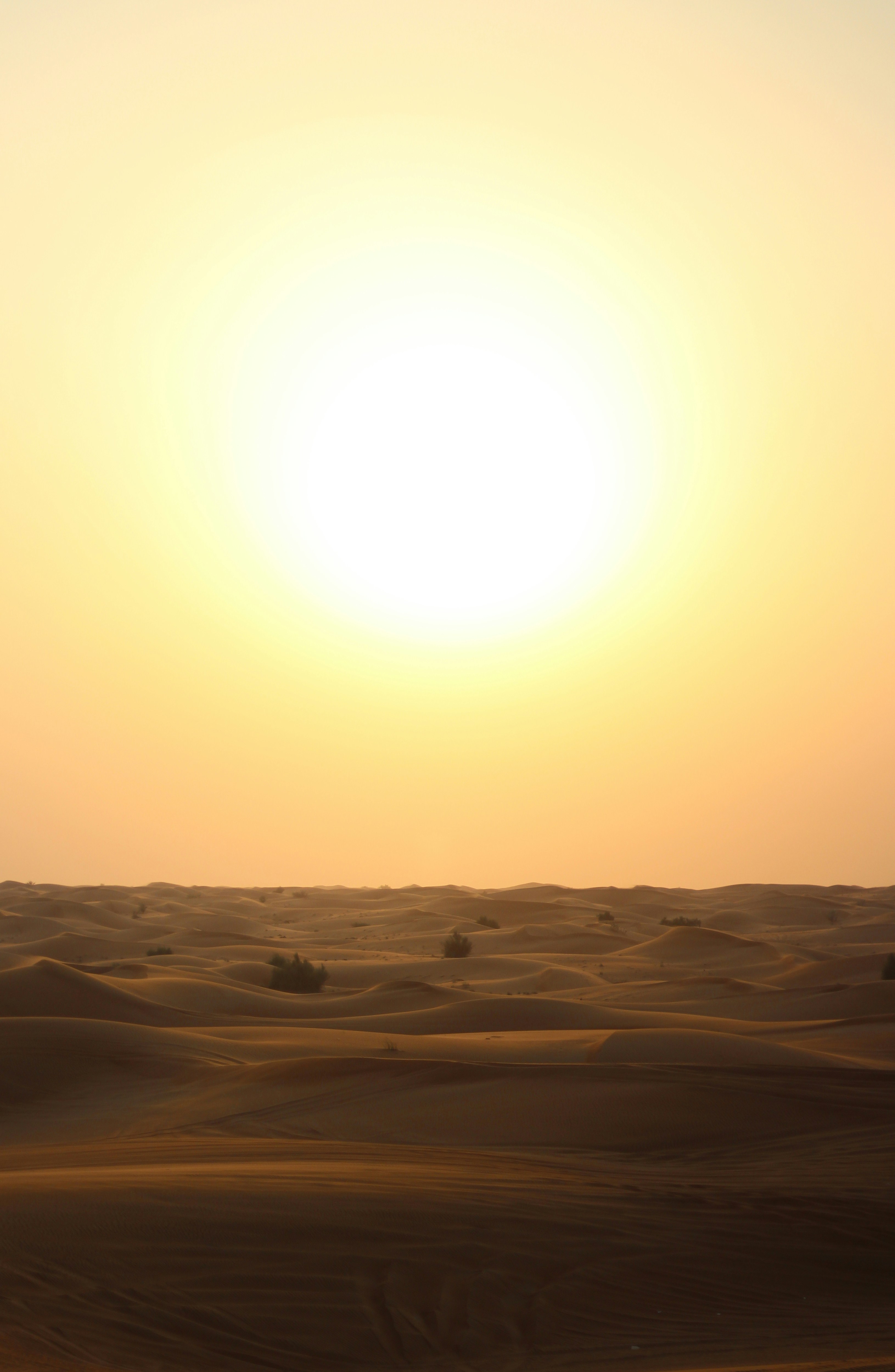 What’s Hot for Supply Chain 2023