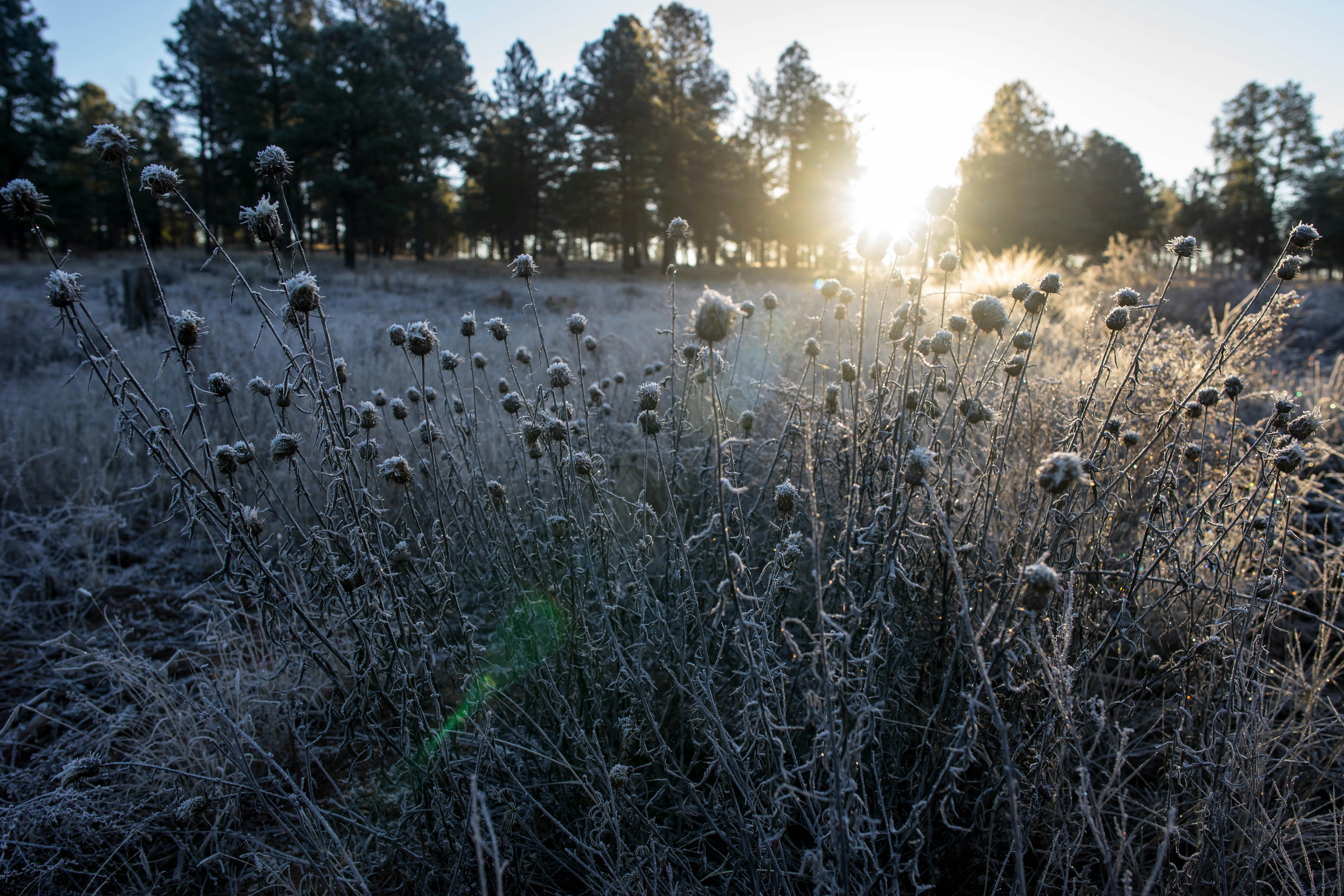 Free Unsplash photo from Naomi Suzuki