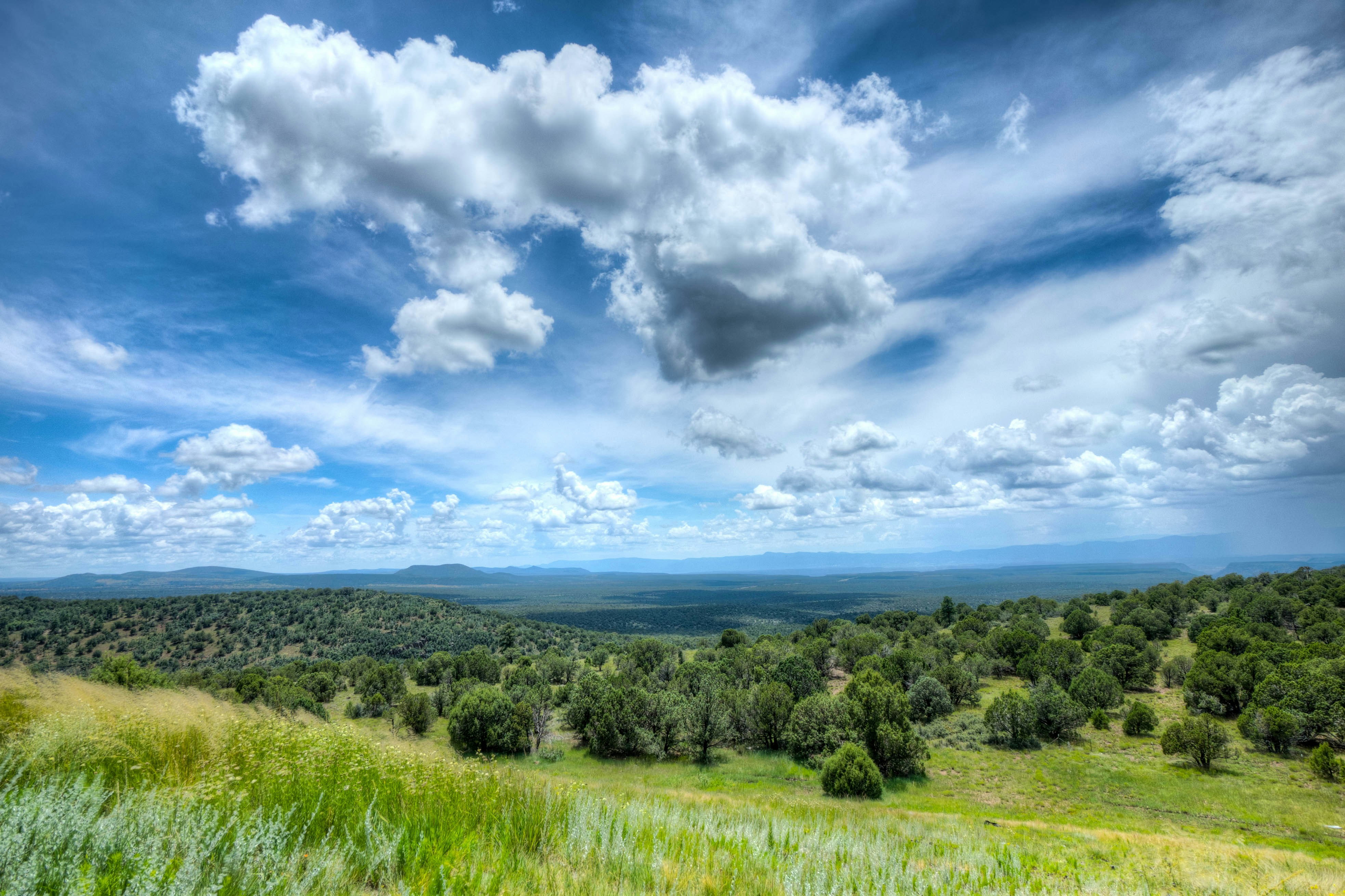 Free Unsplash photo from Naomi Suzuki