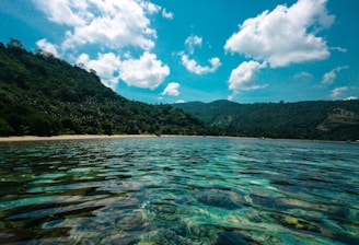 A serene landscape of Fiji's lush green hills and clear blue waters.