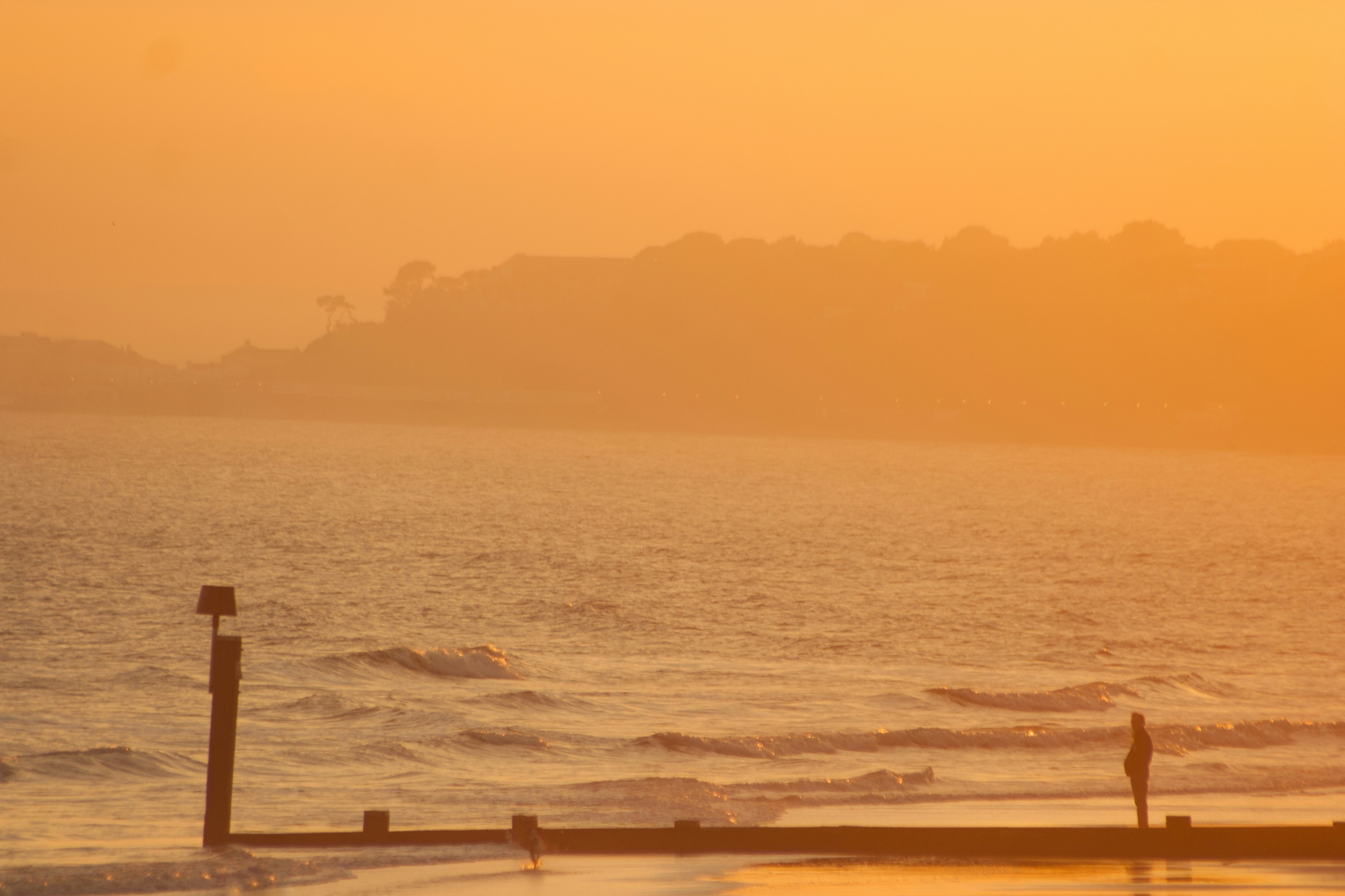 Free Unsplash photo from Tomas Kostadinov