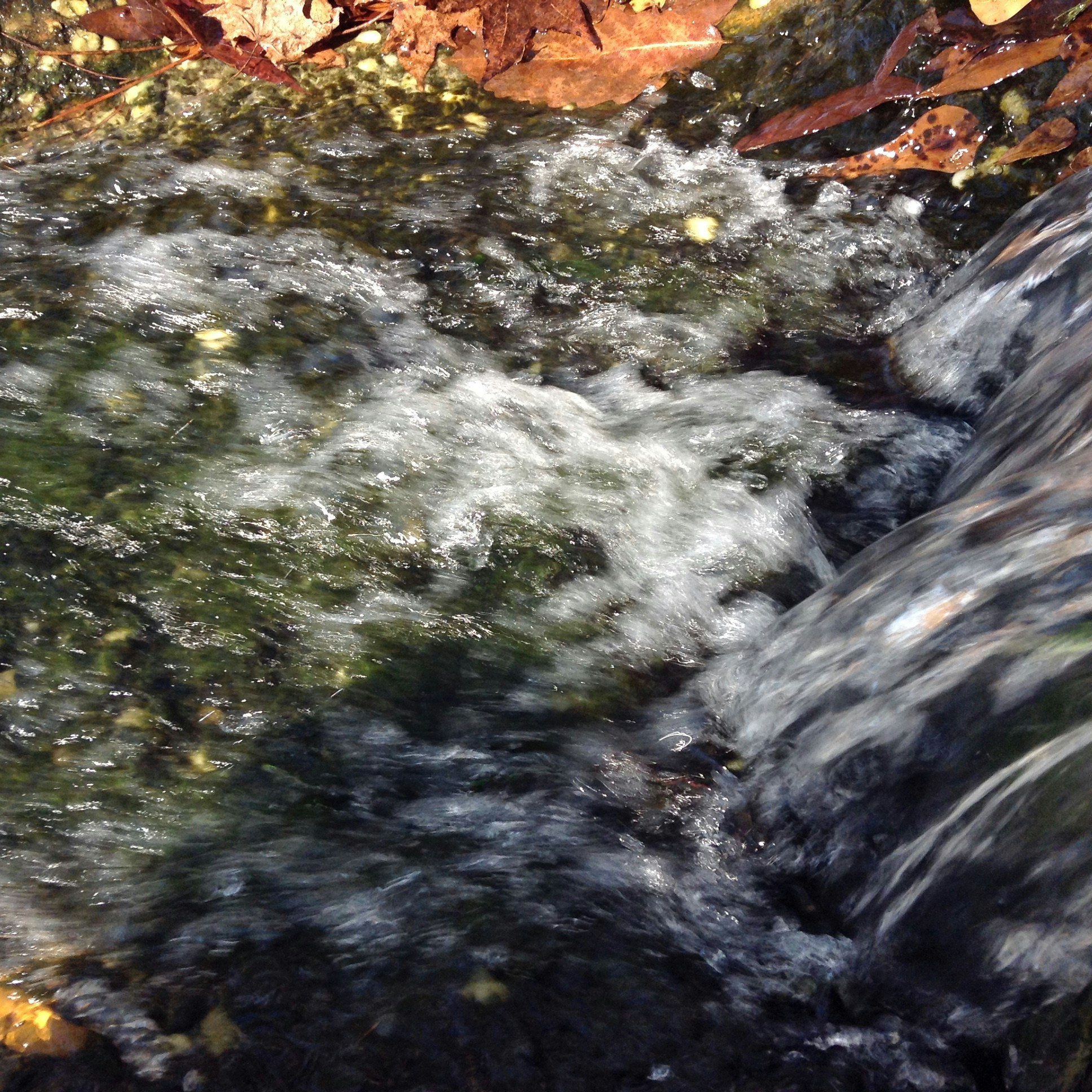 Free Unsplash photo from Austin Freeman