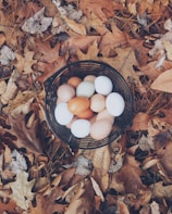 white and brown eggs