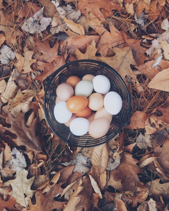 white and brown eggs