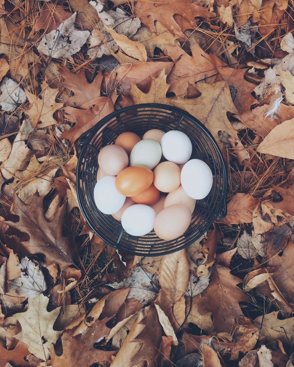 weiße und braune Eier