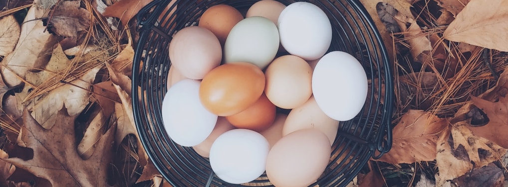 white and brown eggs