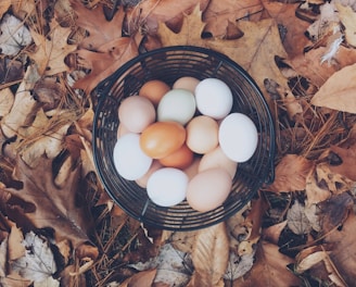 white and brown eggs