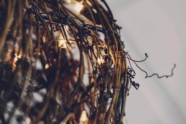 A close-up of rustic wedding decorations made from recycled materials, glowing softly in natural light.