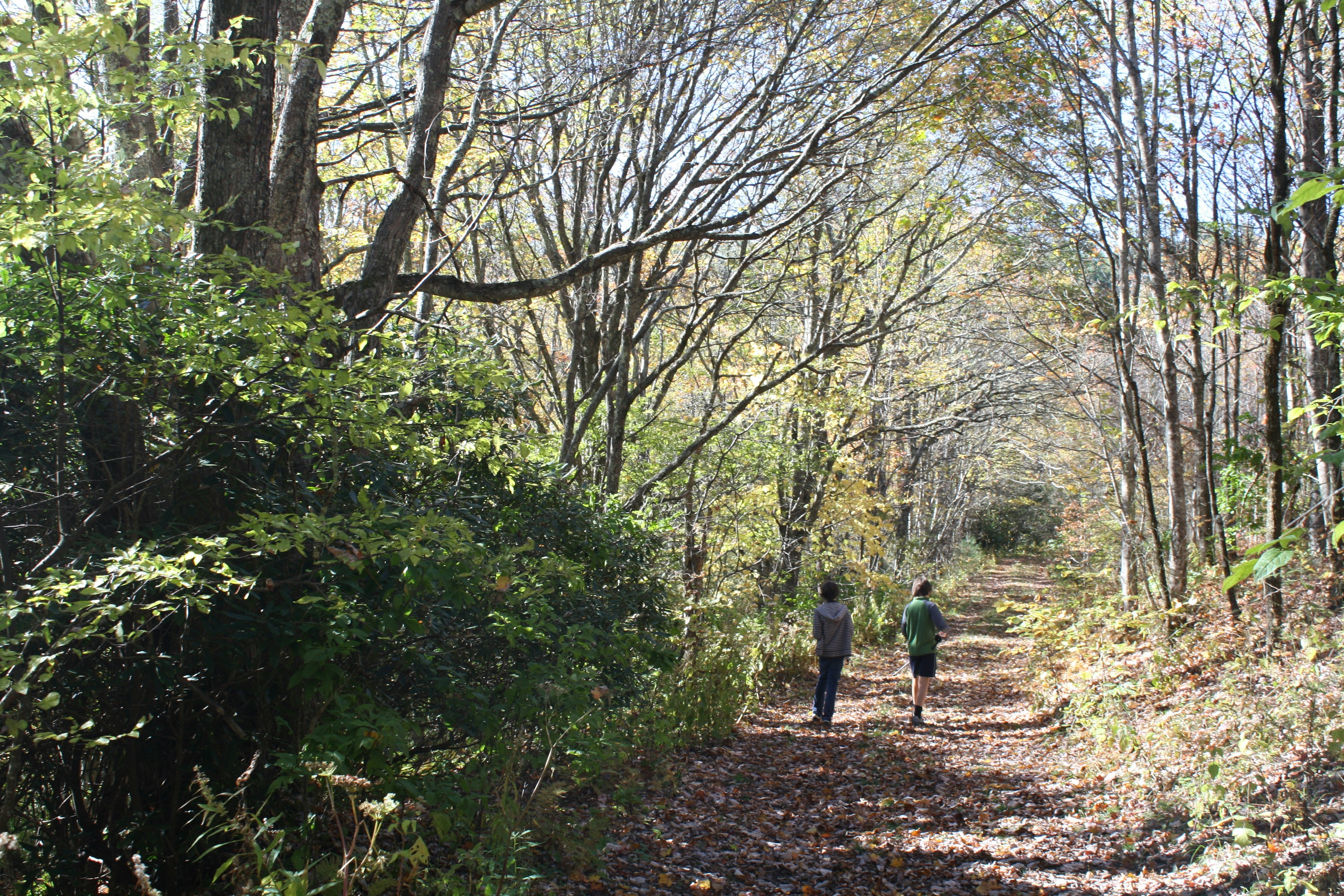 Free Unsplash photo from Heather Brooks