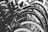 A close-up view of a row of bicycle wheels, focusing on the tires and rims. The image is in black and white, emphasizing the texture and symmetry of the repeating circular patterns.
