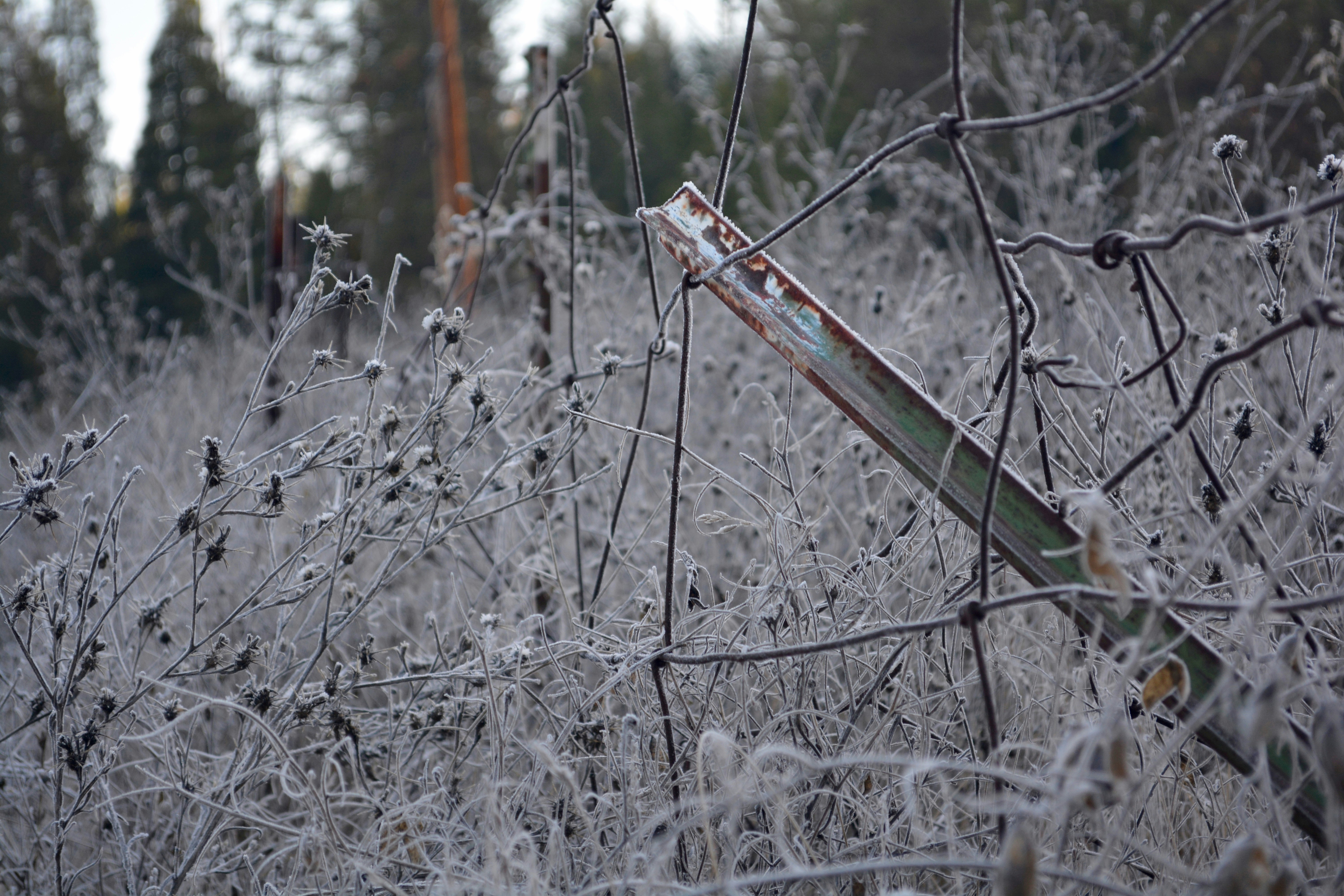 Photo By Jenna Beekhuis